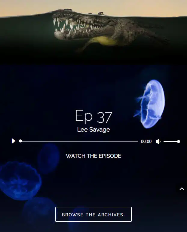 Podcast Style Web Design Edmonton